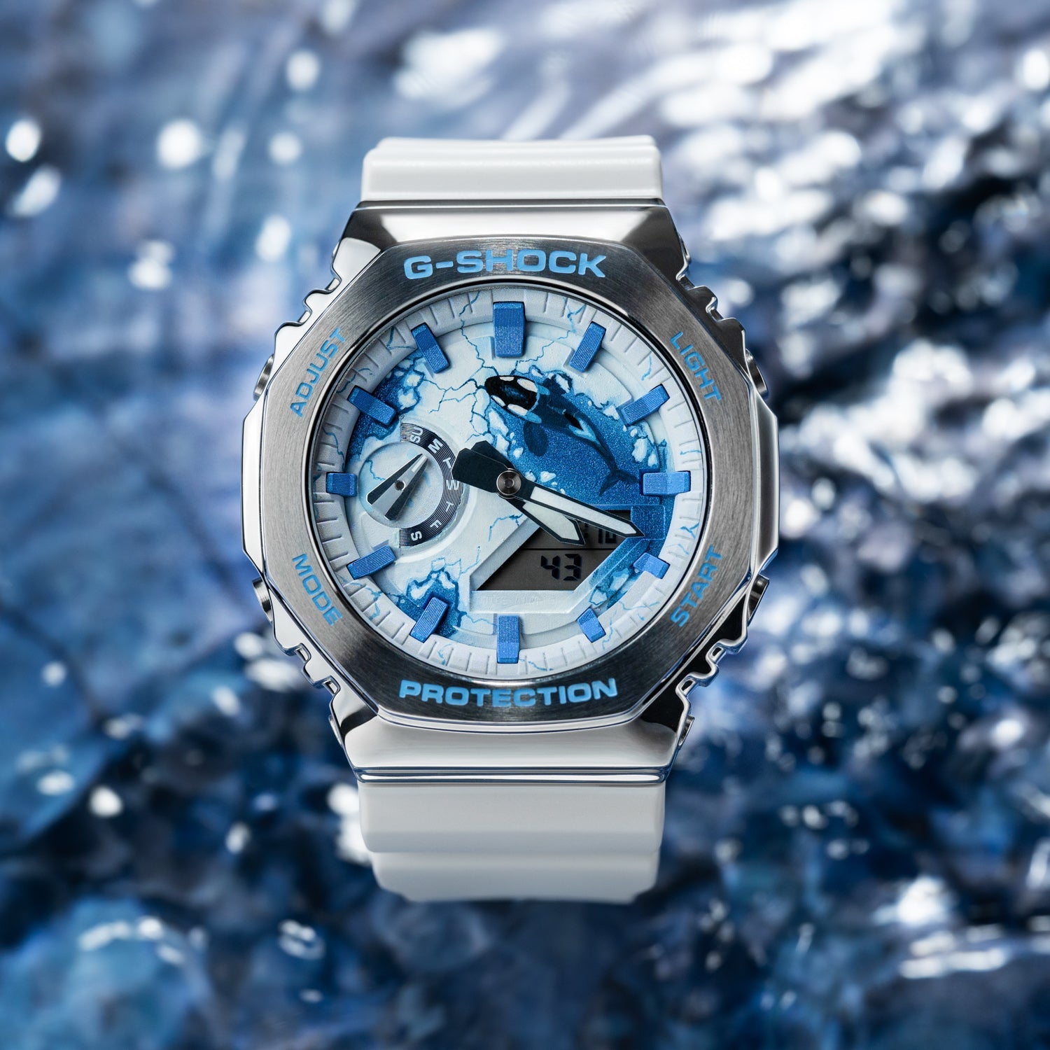 G-Shock CasiOak Orca Limited Edition Watch – Hand-Painted Custom Dial with Arctic Theme and Orca Artwork